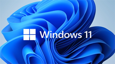 Windows 11 Windows 11