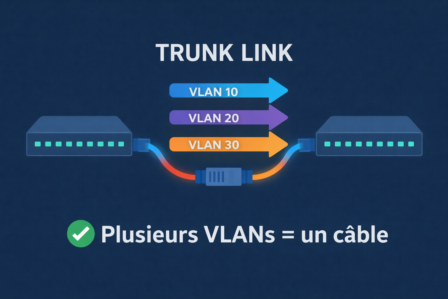 Lien trunk